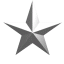 Rotating star