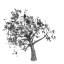 Tree on wind